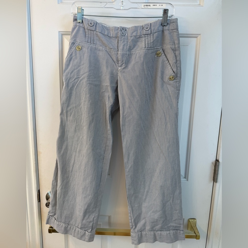 Stylish Blue and White Striped Cropped Pants